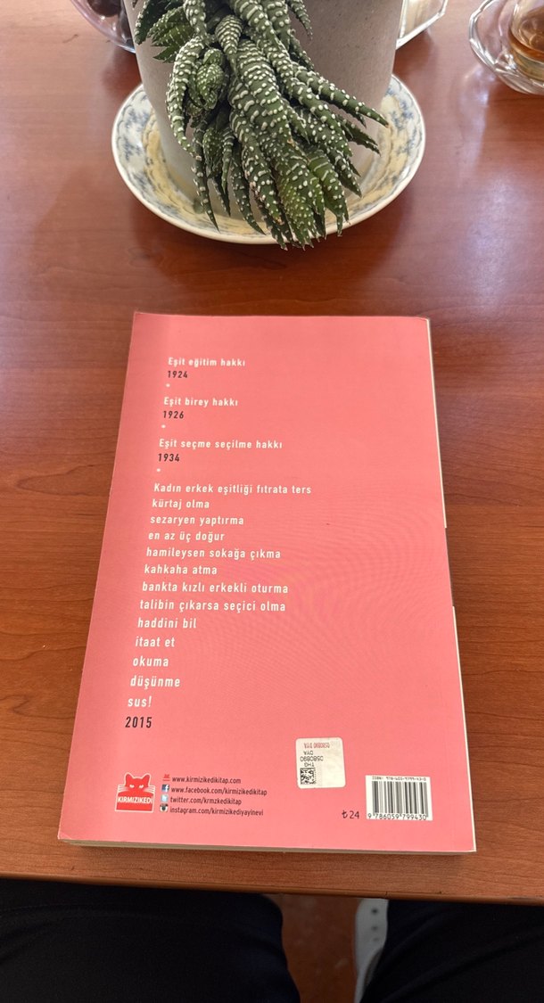 Kadın - Yılmaz Özdil - Görsel 2