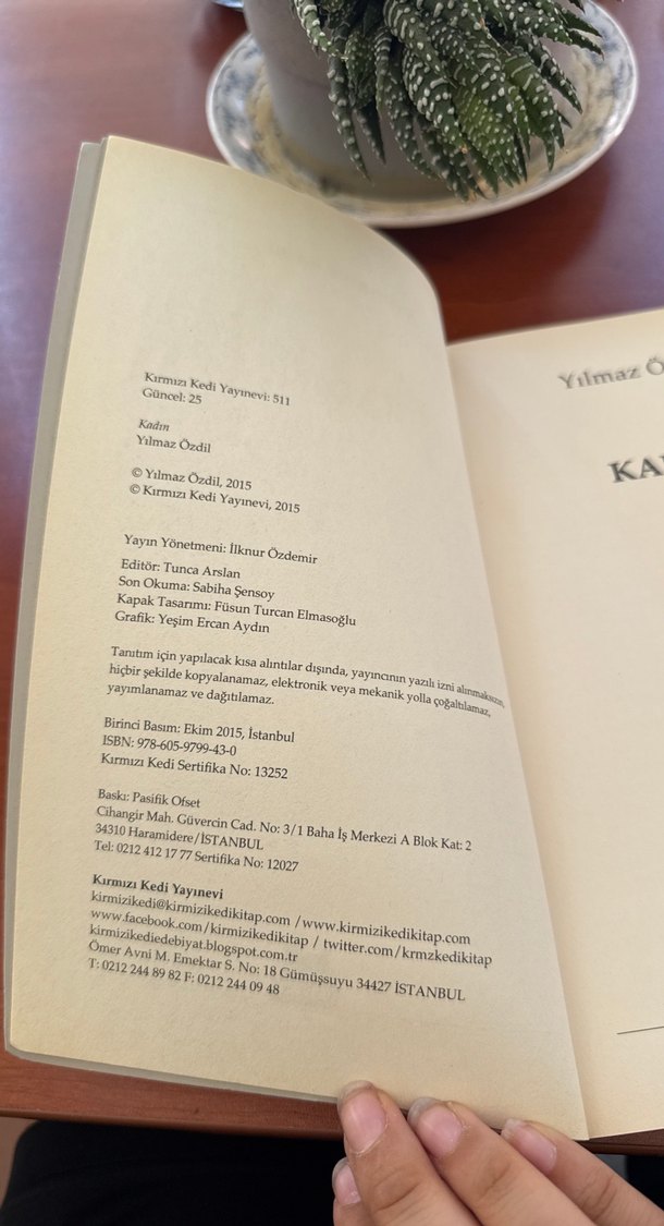 Kadın - Yılmaz Özdil - Görsel 3