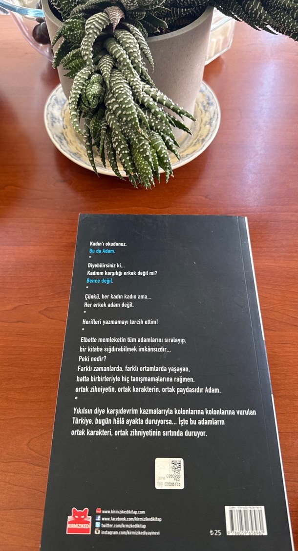 Adam - Yılmaz Özdil - Görsel 2