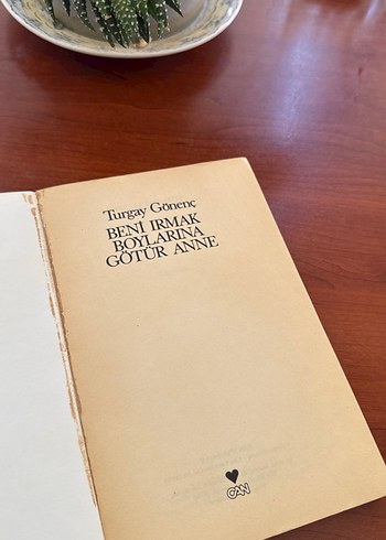 Beni Irmak Boylarına Götür Anne - Turgay Gönenç - Görsel 3