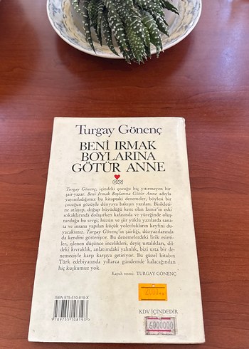 Beni Irmak Boylarına Götür Anne - Turgay Gönenç - Görsel 2