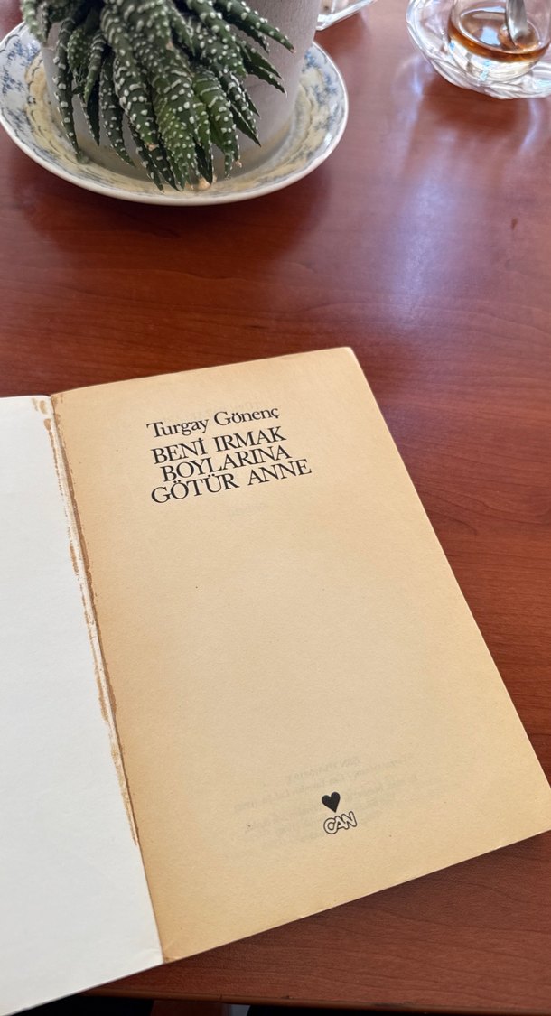 Beni Irmak Boylarına Götür Anne - Turgay Gönenç - Görsel 3