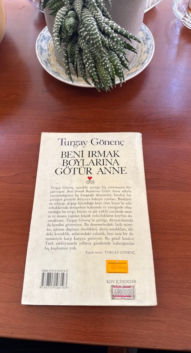 Beni Irmak Boylarına Götür Anne - Turgay Gönenç - Görsel 2