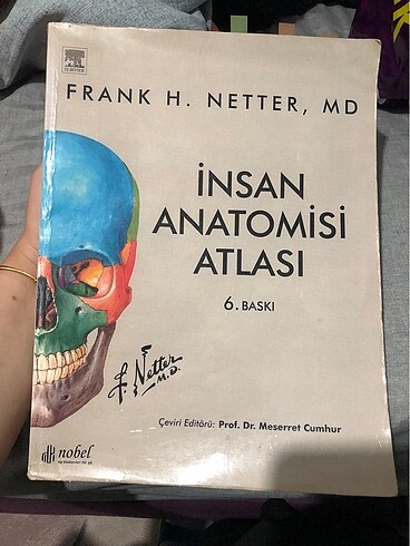 Netter insan anatomi atlası 6. Baskı