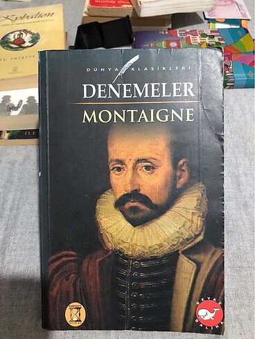 Montaigne denemeler