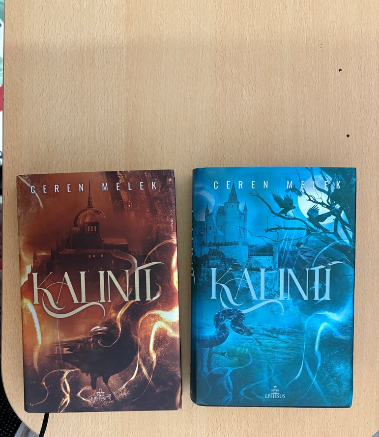 Kalıntı serisi - Ceren Melek - Görsel 2