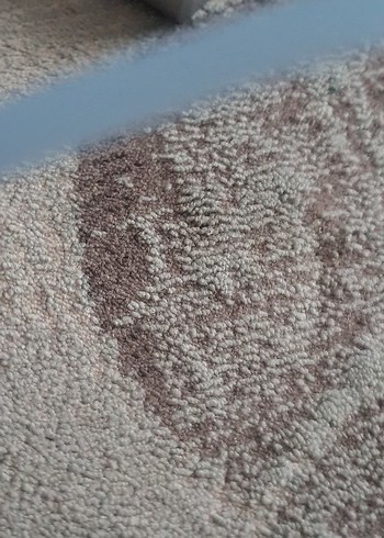 Mavi çocuk Gözlük cercevesi - Görsel 3