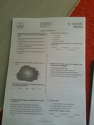 12. SINIF KAZANIM DEĞERLENDİRME TESTLERİ