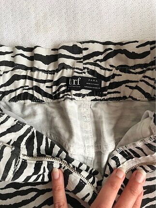 m Beden Zebra desen