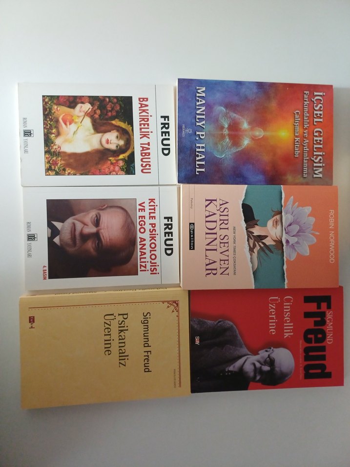 Psikanaliz ve İçsel Gelişim Kitapları Seti - Freud - Görsel 2