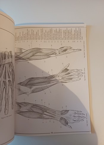 El ve Ayak Çizimi Sanatı Kitabı - Görsel 3