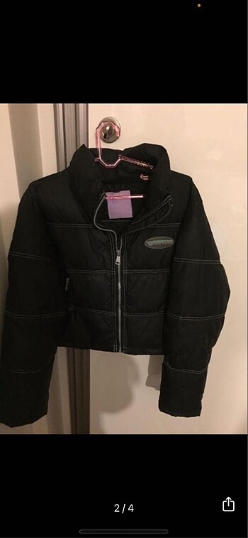 Mont pull ABD bear