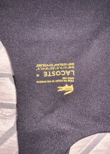 Lacoste Siyah Mini Spor Sütyen - Görsel 4