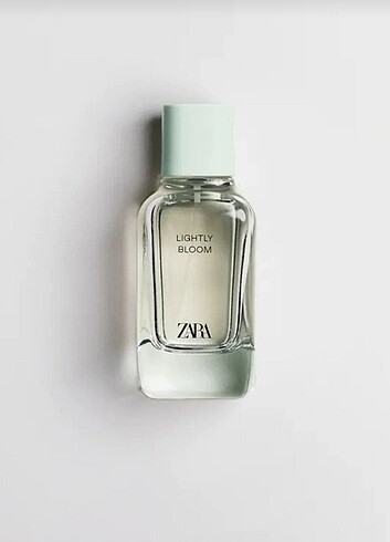 Zara lightly bloom