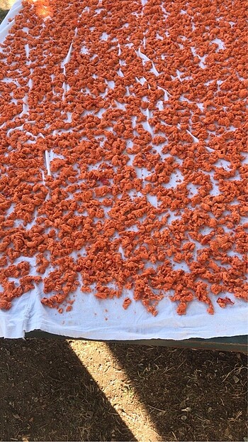 xl Beden Trakya Tarhanası