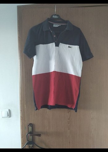 Erkek Çok Renkli Polo Yaka Tişört - Görsel 3