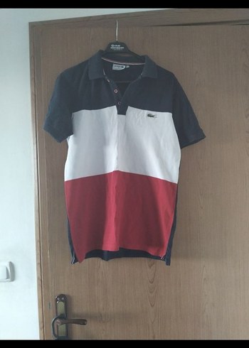 Erkek Çok Renkli Polo Yaka Tişört - Görsel 2