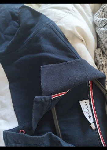 Erkek Çok Renkli Polo Yaka Tişört - Görsel 4