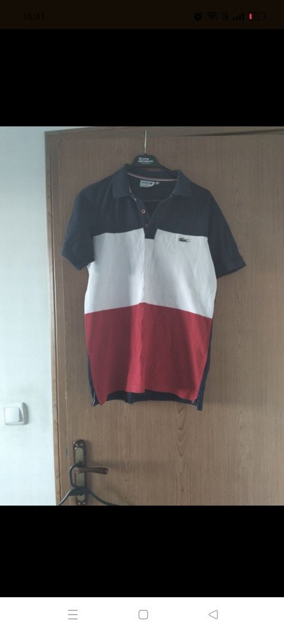 Erkek Çok Renkli Polo Yaka Tişört - Görsel 3