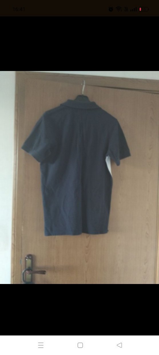 Erkek Çok Renkli Polo Yaka Tişört - Görsel 5