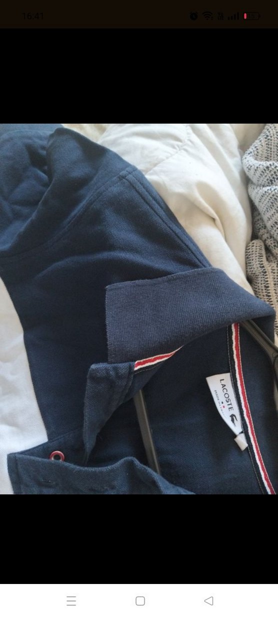 Erkek Çok Renkli Polo Yaka Tişört - Görsel 4