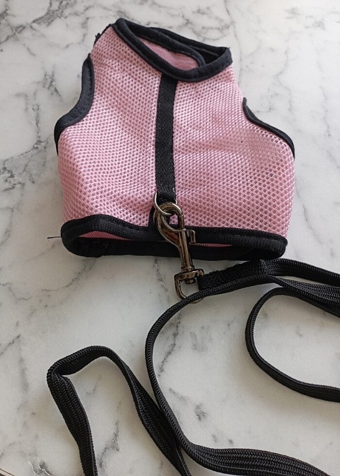 KEDİ-KÖPEK TAVŞAN İÇİN BEL TASMASI - Görsel 2