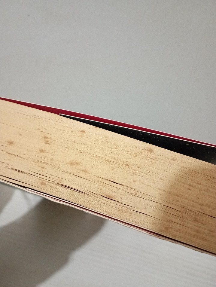 Balaeskar - Göktürk - Görsel 2