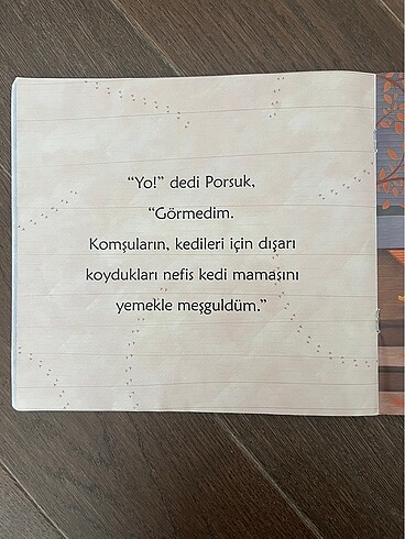  Ayı kim çaldı