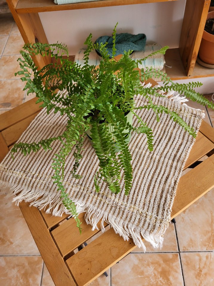 sehba örtüsü - Görsel 4