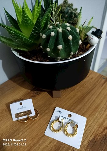 Altın Zincir Detaylı Mini Küpeler - Görsel 5