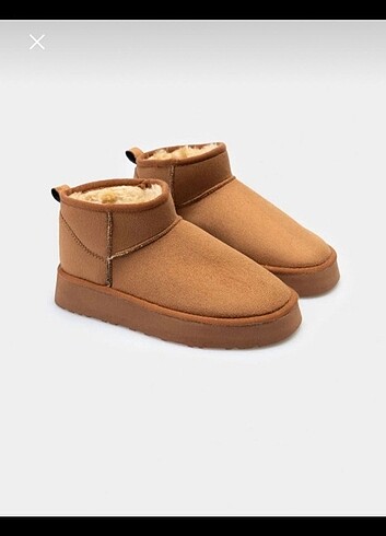 Ugg bot