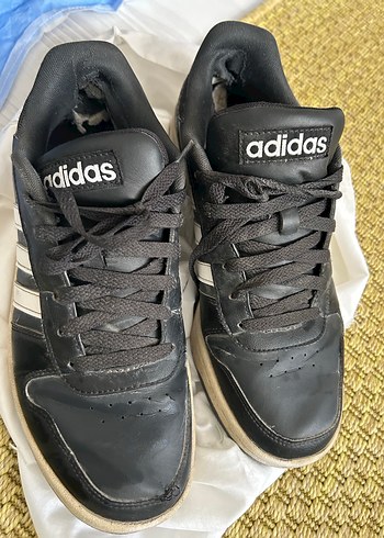 Erkek Siyah Spor Ayakkabı Bağcıkları - Görsel 3