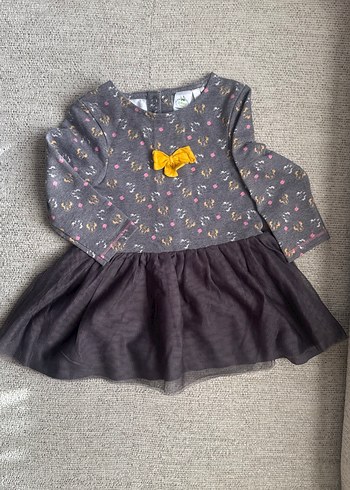 Walt Disney World 12-18 Ay