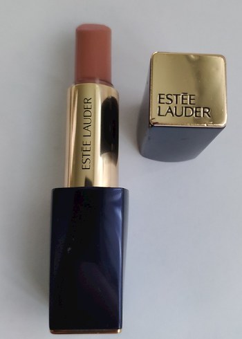 Estee Lauder Pure Color Envy Lipstick Rouge 110 Insatiable