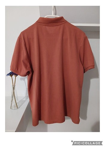 LCW marka M beten Tshirt - Görsel 5