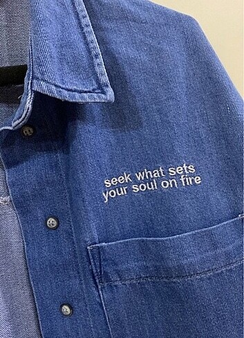 LC Waikiki Jean gomlek ceket