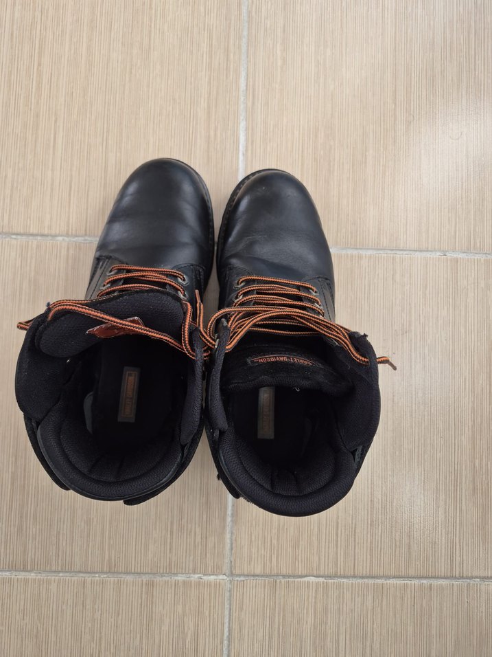 Harley davidson bot - Görsel 4