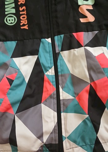 Kapüşonlu Çok Renkli Erkek Çocuk Ceket - Görsel 2