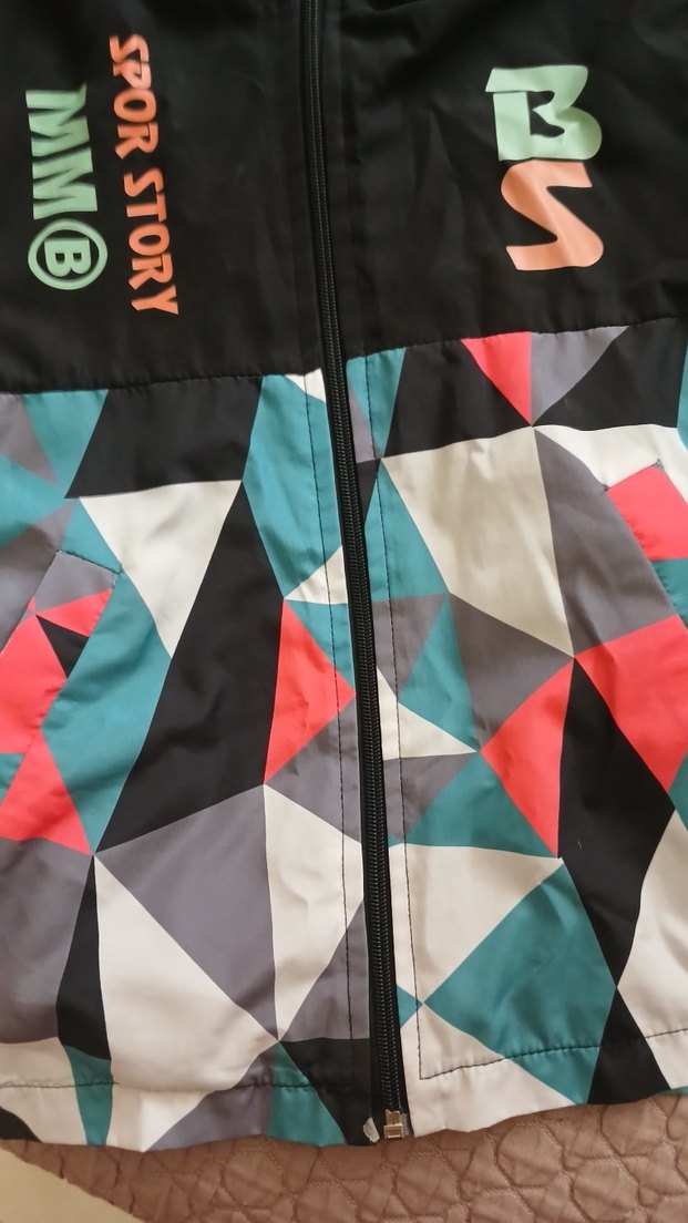 Kapüşonlu Çok Renkli Erkek Çocuk Ceket - Görsel 2