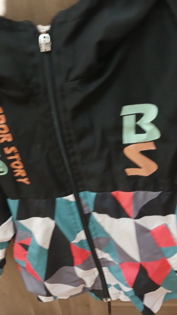 Kapüşonlu Çok Renkli Erkek Çocuk Ceket - Görsel 4