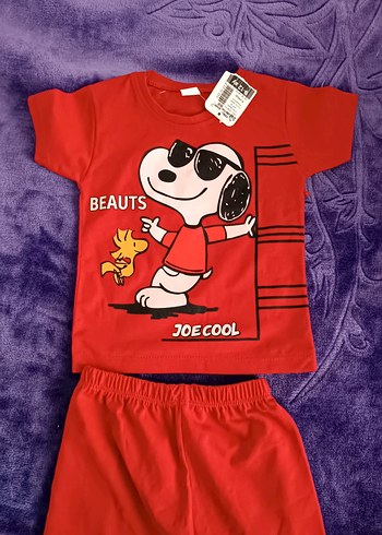 Diğer Renkli Snoopy Baskılı Çocuk Takımı