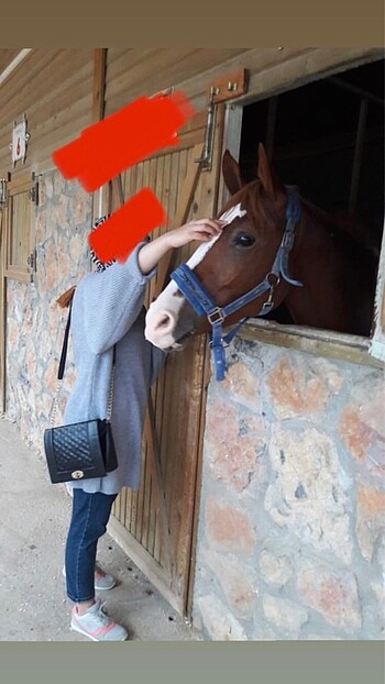 Trendyol & Milla Örme kazak