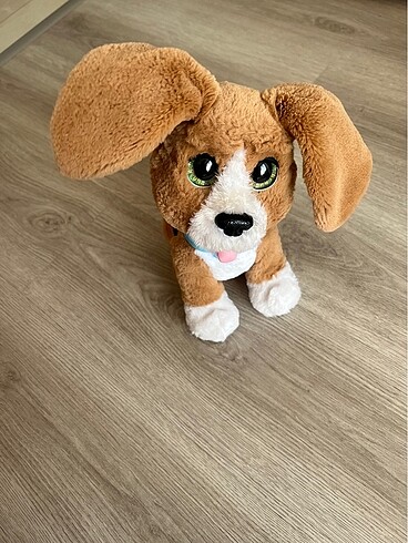 konuşan köpeğim charlie