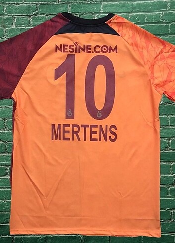 MERTENS FORMASI