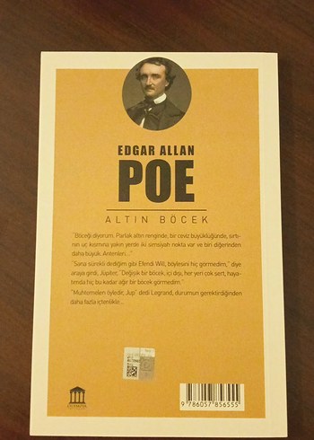Edgar Allan Poe - Altın Böcek - Görsel 2