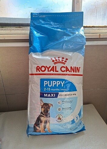 Royal canin maxi puppy köpek maması 