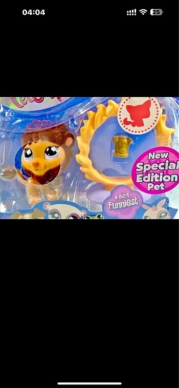  Beden Renk Lps özel dokulu new editions pet Aslan Miniş