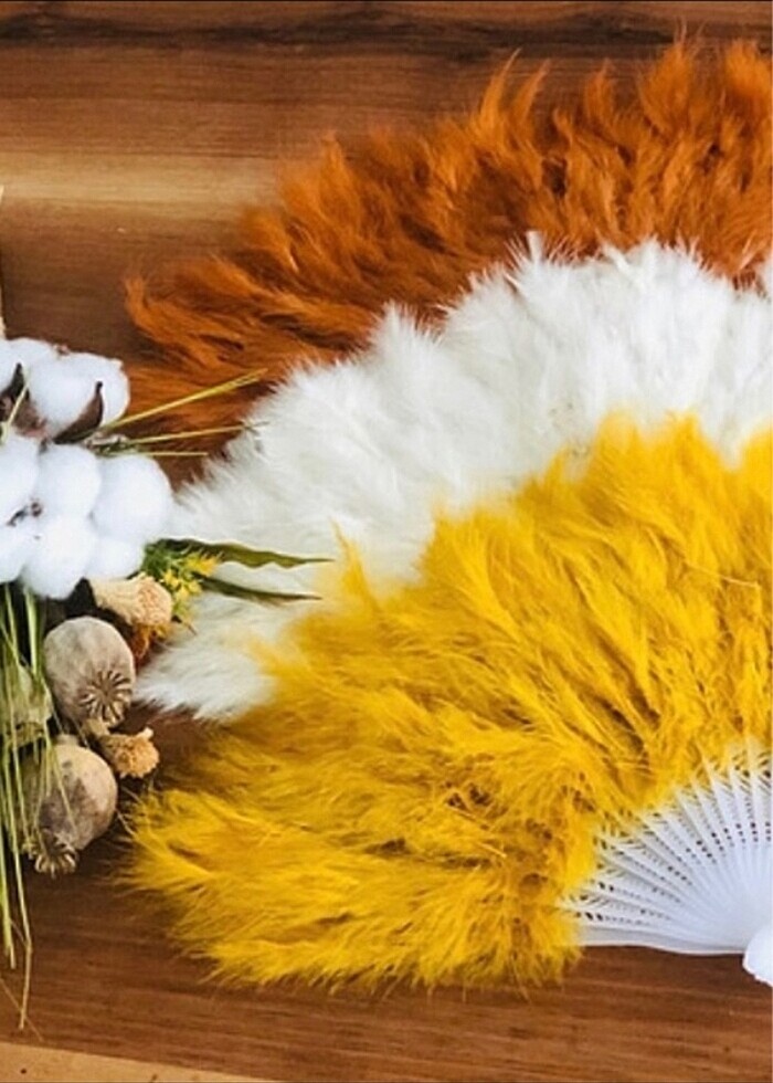 Tüylü yelpaze - Görsel 2