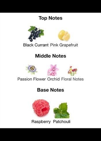 Jimmy Choo Exotic Kadın Parfümü 100 ml - Görsel 4