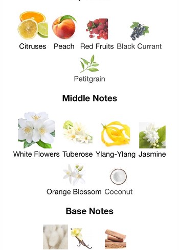 Chanel Gabrielle Essence 5 ml - Görsel 3